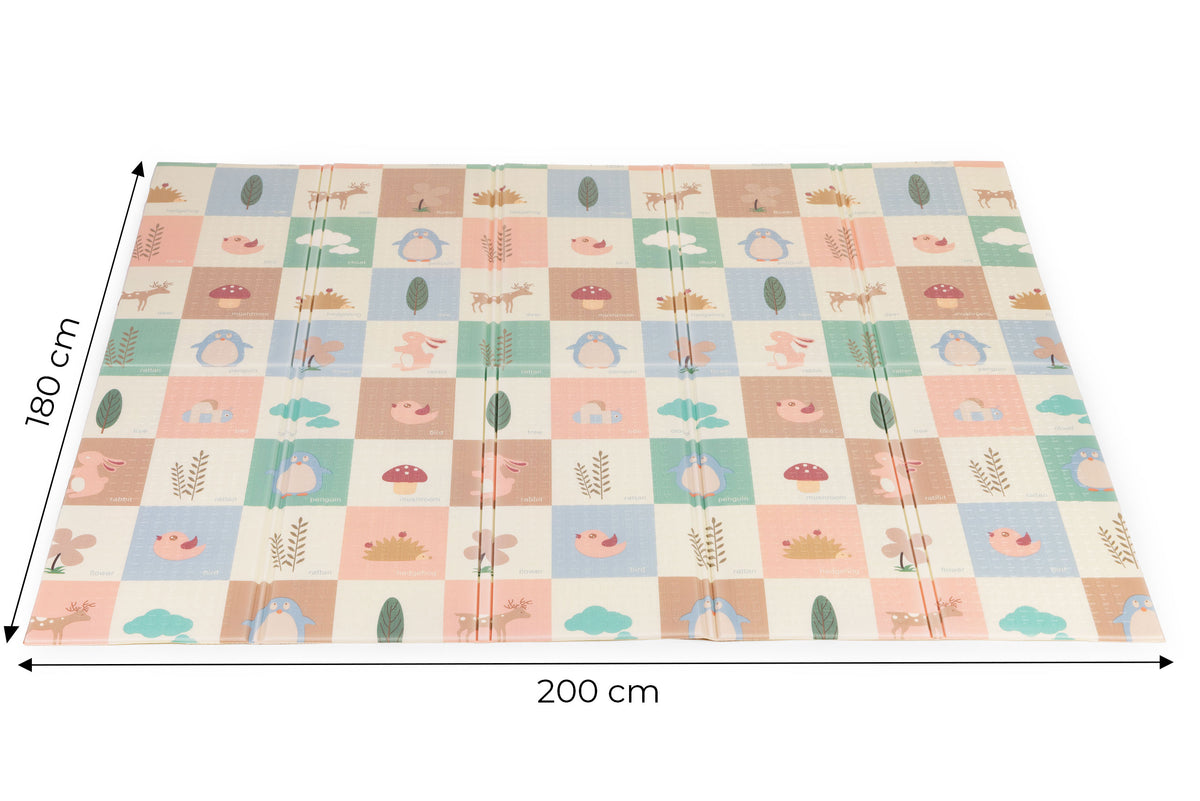 Izglītojošs divpusējs putu paklājs 200x180 cm, saliekams + soma IPLAY | EcoToys