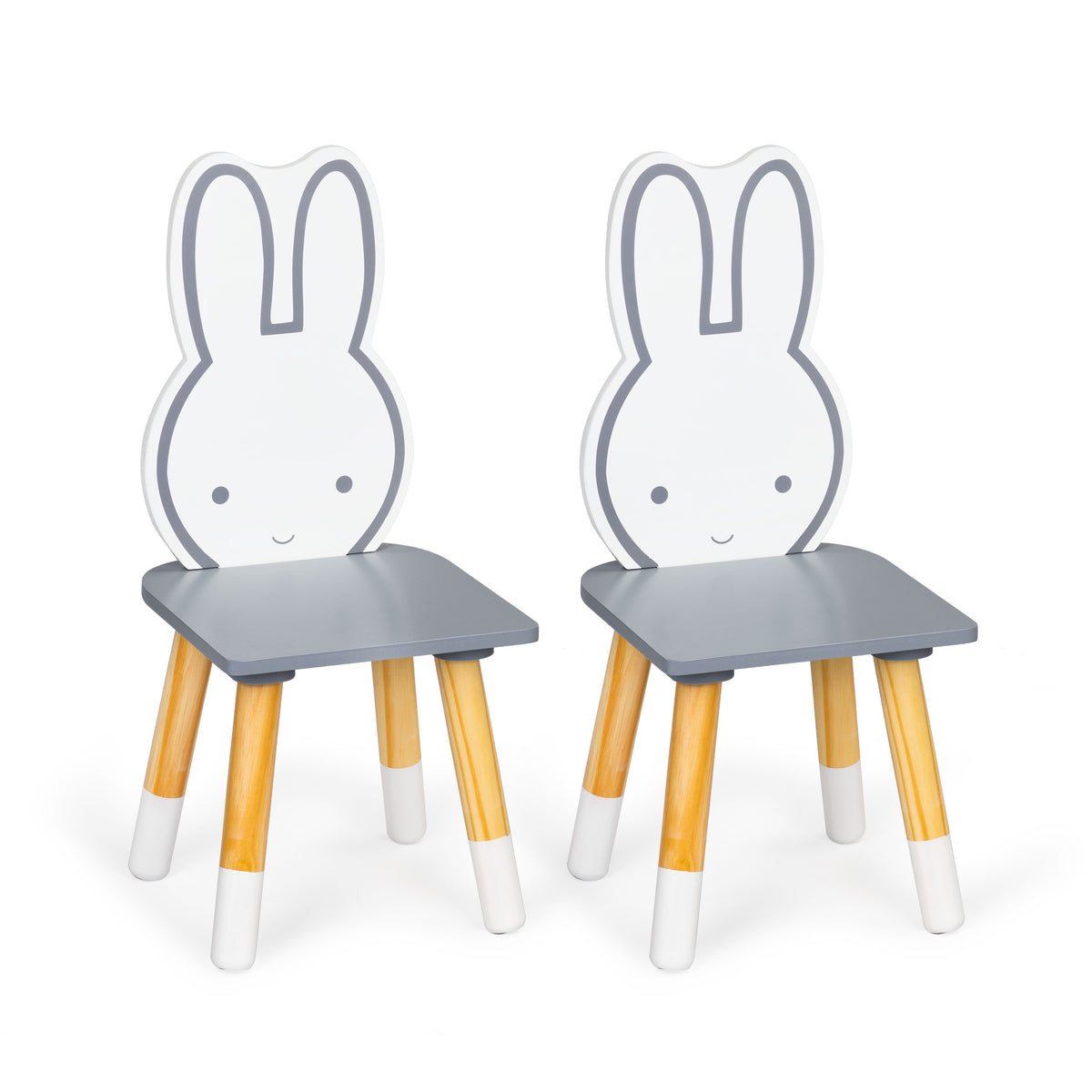 Bērnu mēbeļu komplekts: galds + 2 krēsli | EcoToys