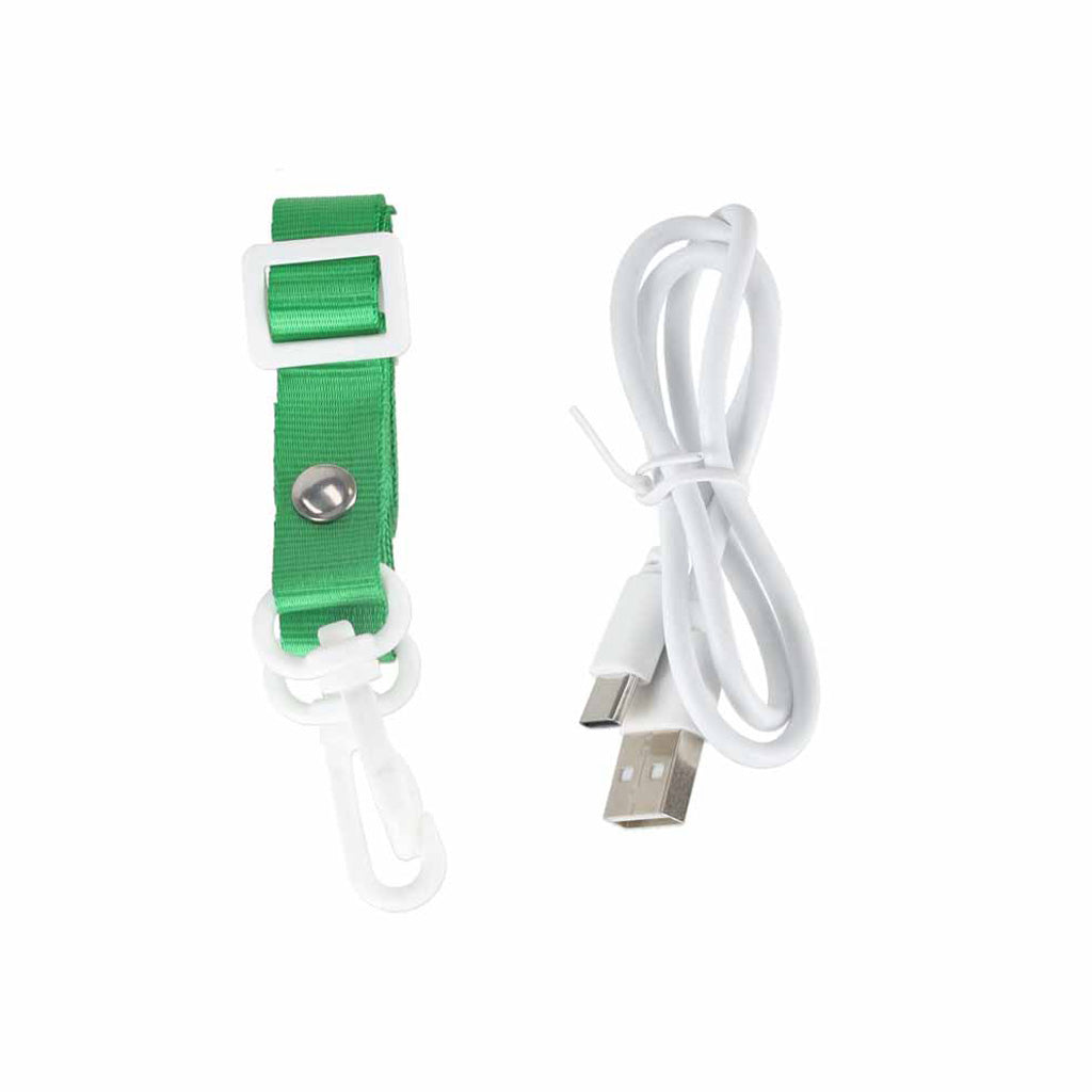 Bērnu digitālā kamera uz statīva dinozaurs zaļš | EcoToys