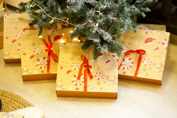 Ziemassvētku brīnuma adventes kalendārs - 24 Days of Wonder