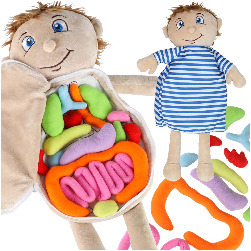 Maskot lelle, kas mācās anatomiju zēns | EcoToys