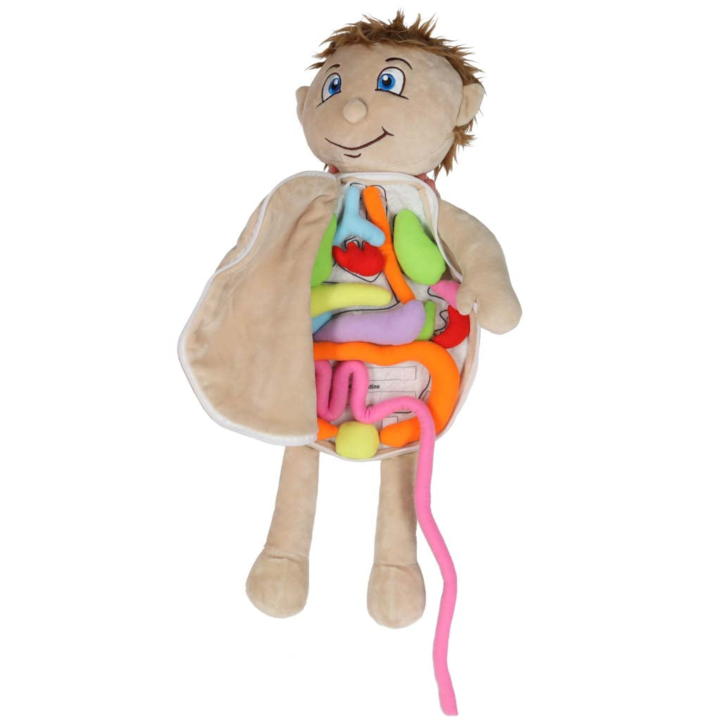 Maskot lelle, kas mācās anatomiju zēns | EcoToys