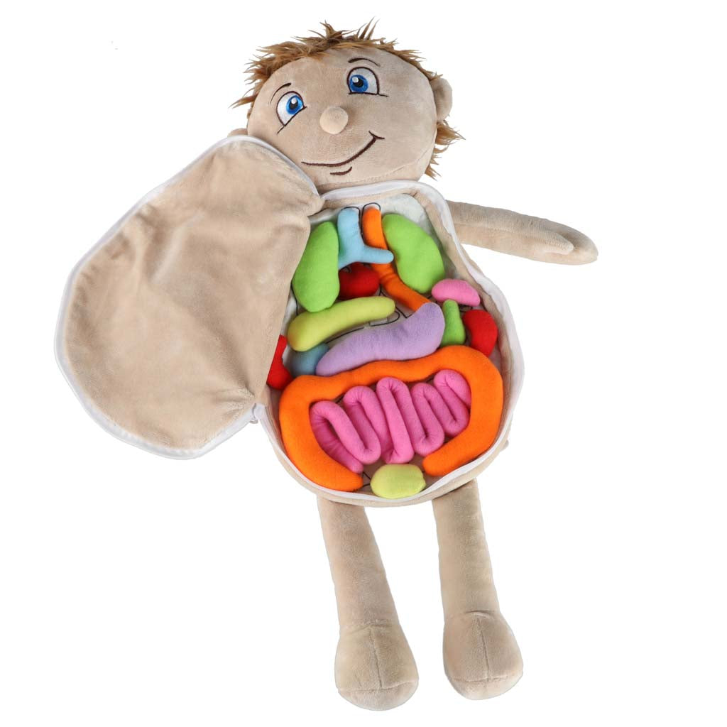 Maskot lelle, kas mācās anatomiju zēns | EcoToys