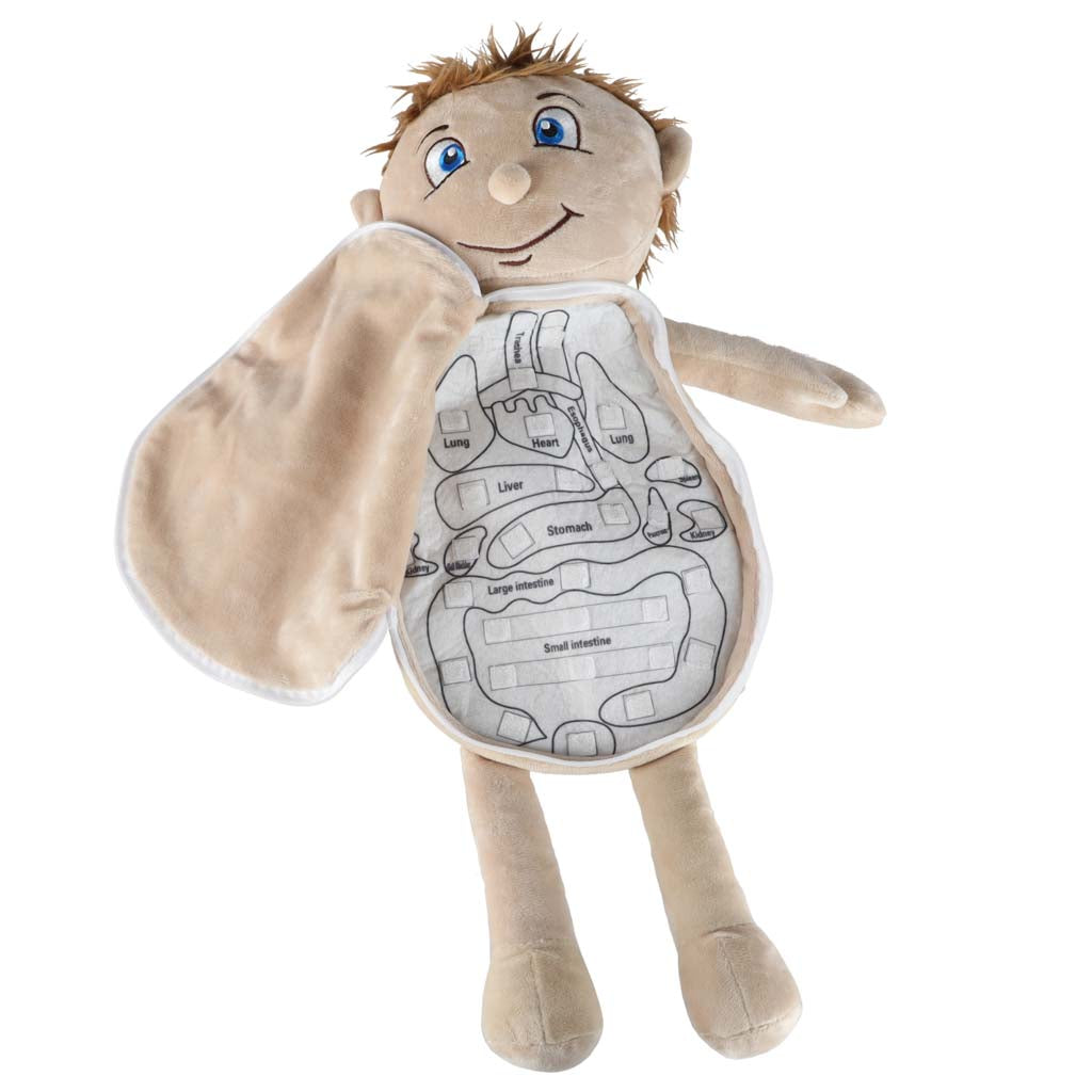 Maskot lelle, kas mācās anatomiju zēns | EcoToys