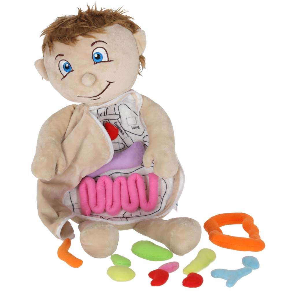 Maskot lelle, kas mācās anatomiju zēns | EcoToys