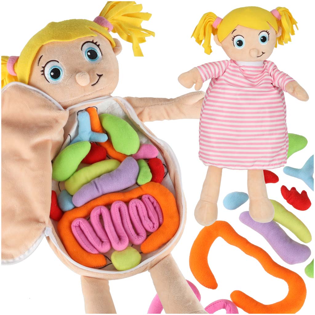 Maskot lelle, kas mācās anatomiju meitene | EcoToys
