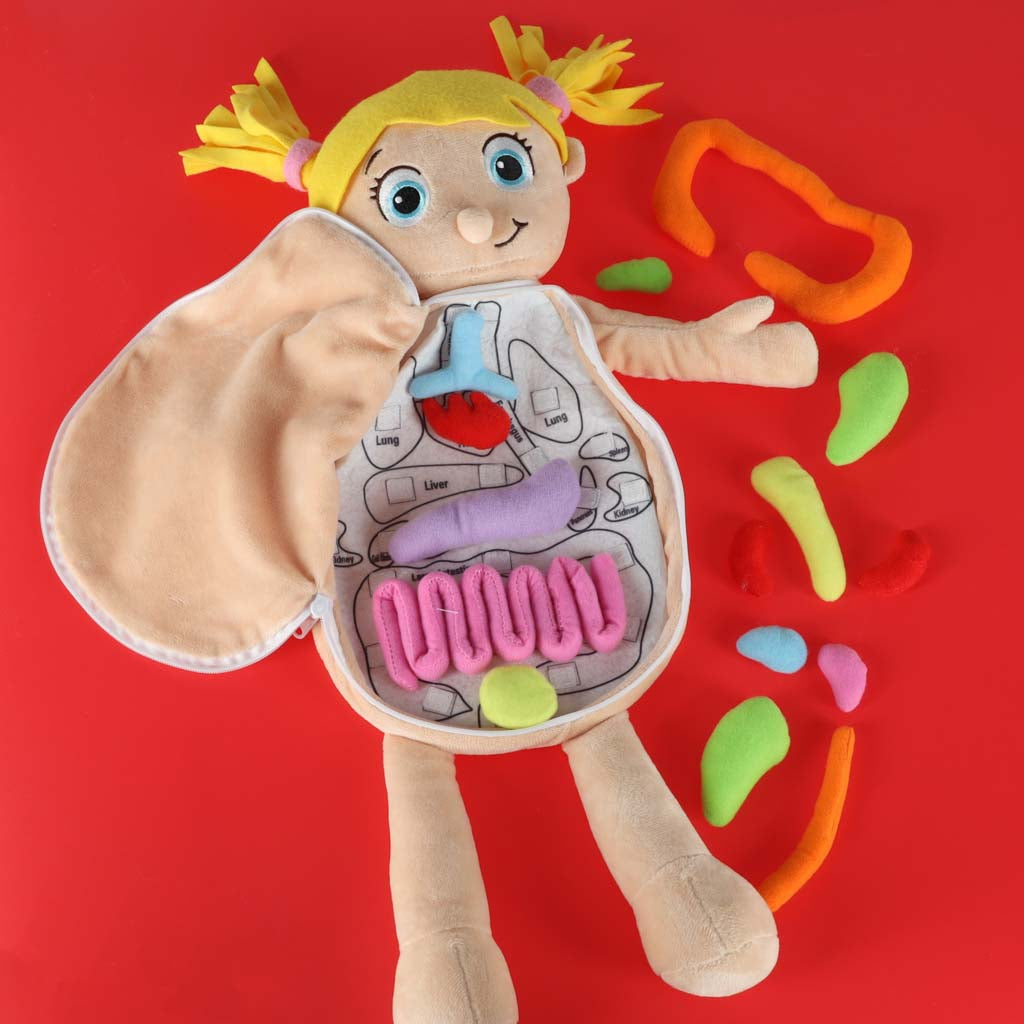 Maskot lelle, kas mācās anatomiju meitene | EcoToys