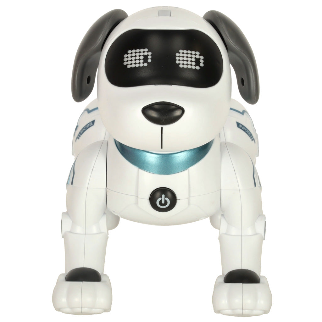 RC robots suns lec pastaigas | EcoToys