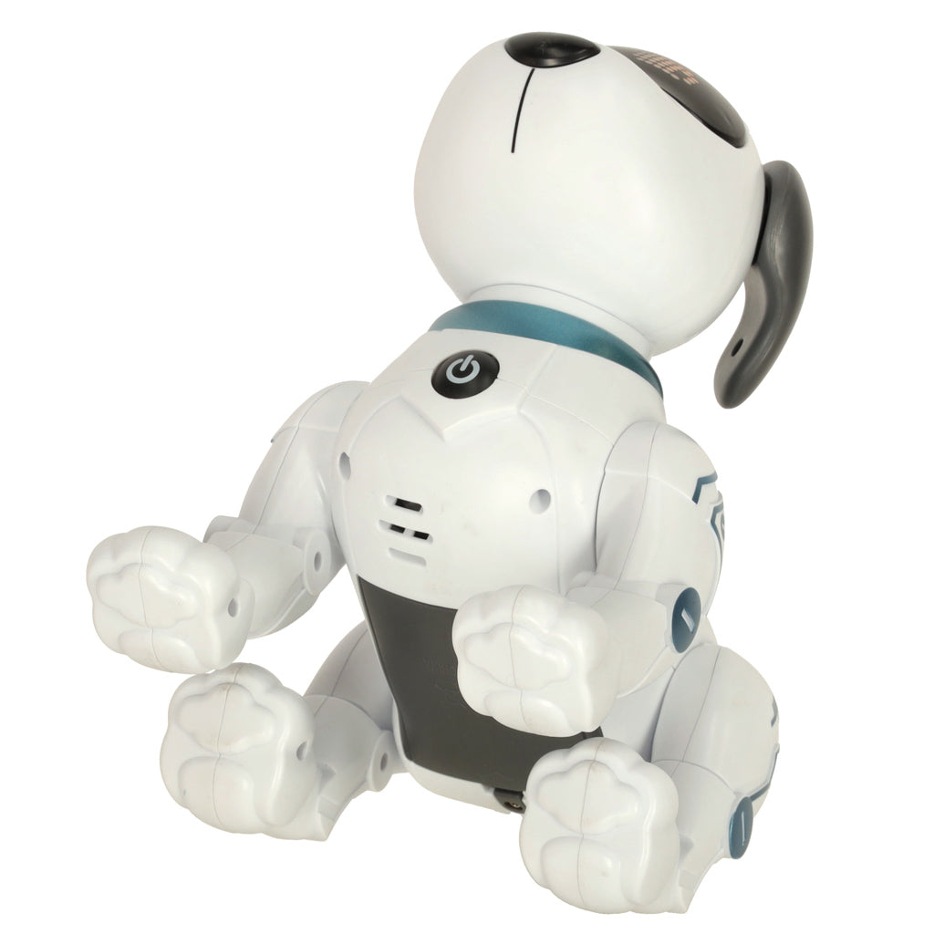 RC robots suns lec pastaigas | EcoToys