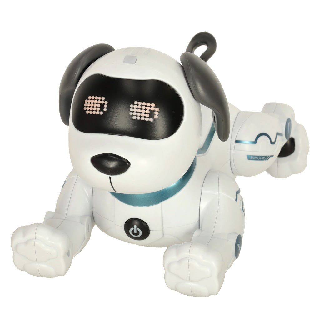 RC robots suns lec pastaigas | EcoToys