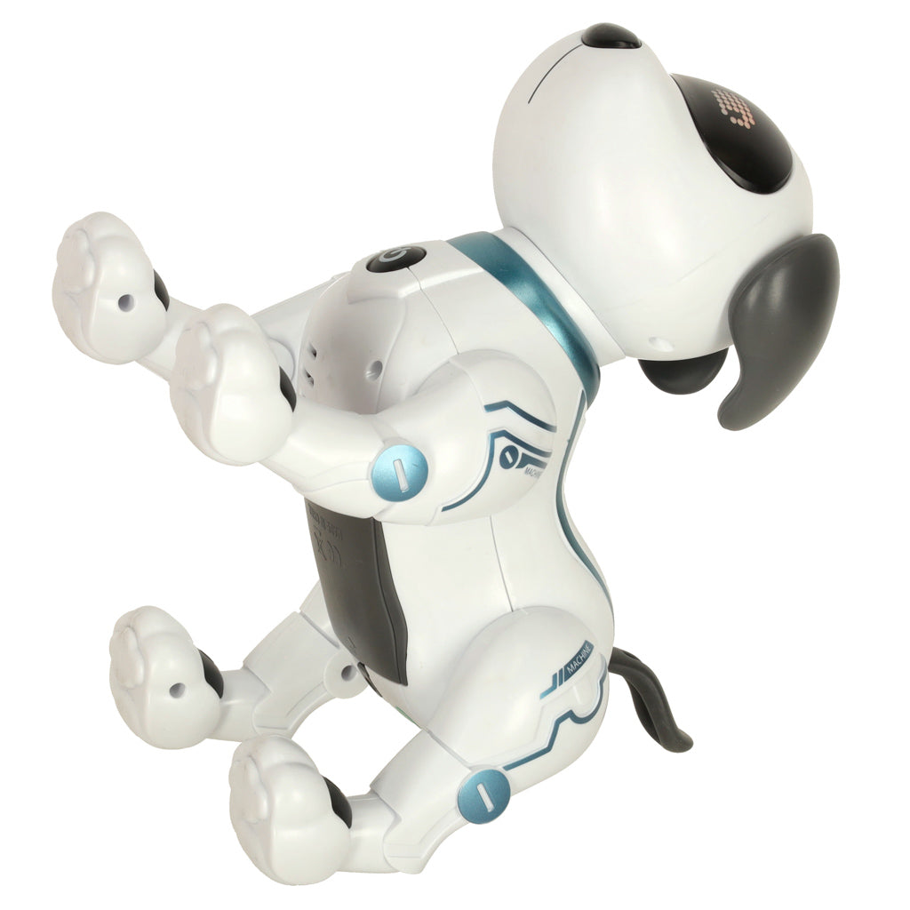 RC robots suns lec pastaigas | EcoToys